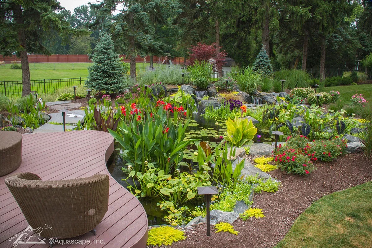 Mature Aquascape ecosystem pond with a waterfall, water lilies, and lush marginal plantings beside a deck
