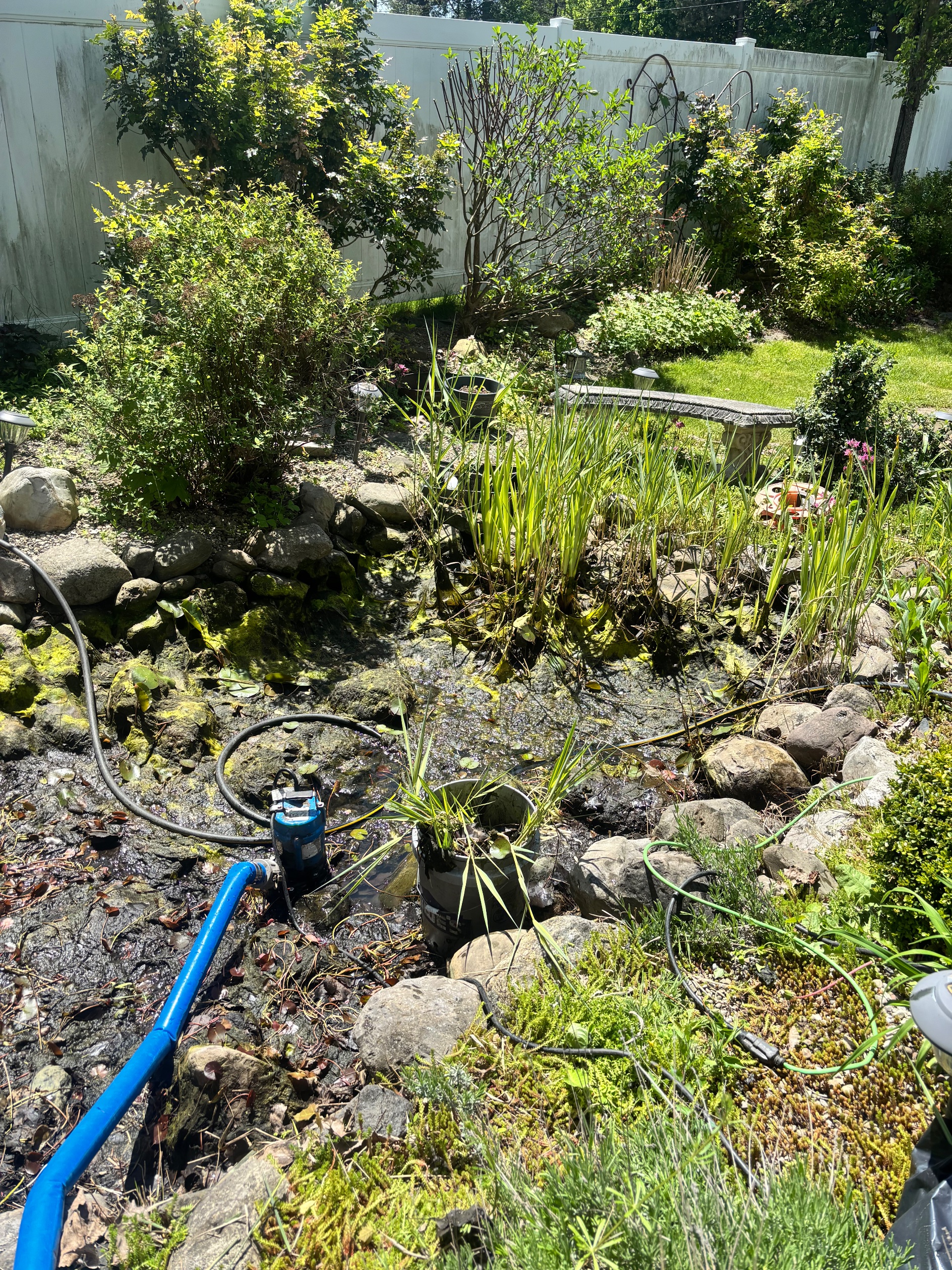 Pond drained down for a cleanout, rocks coated in algae and sludge, cleanout pump running