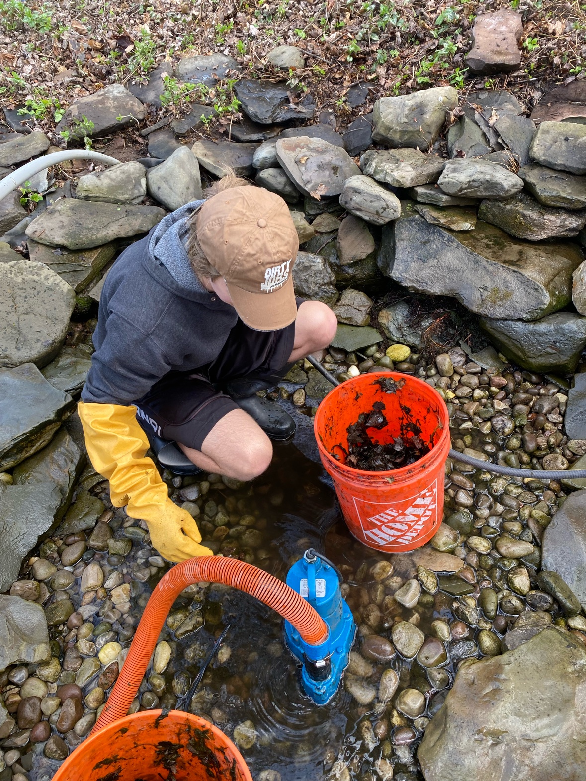 Pond cleanout in progress, draining the pond and removing leaves and sludge by hand