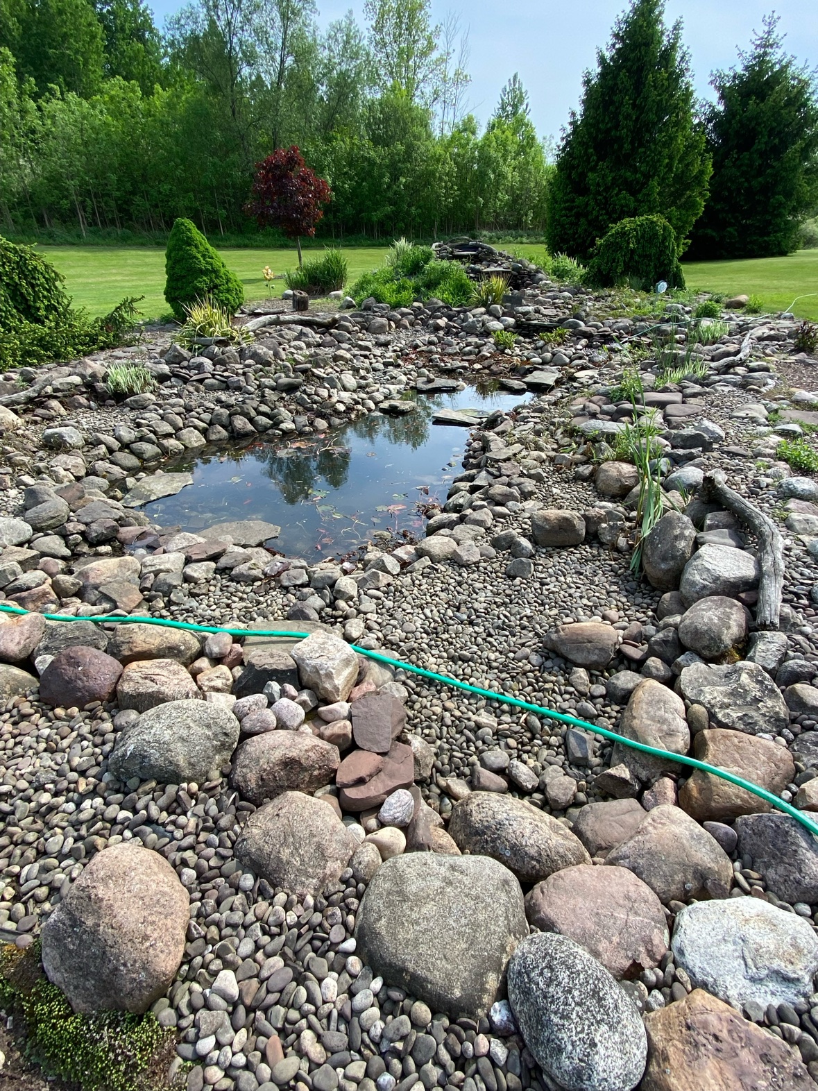 Drained ecosystem pond during a full spring cleanout, rock and gravel exposed for inspection