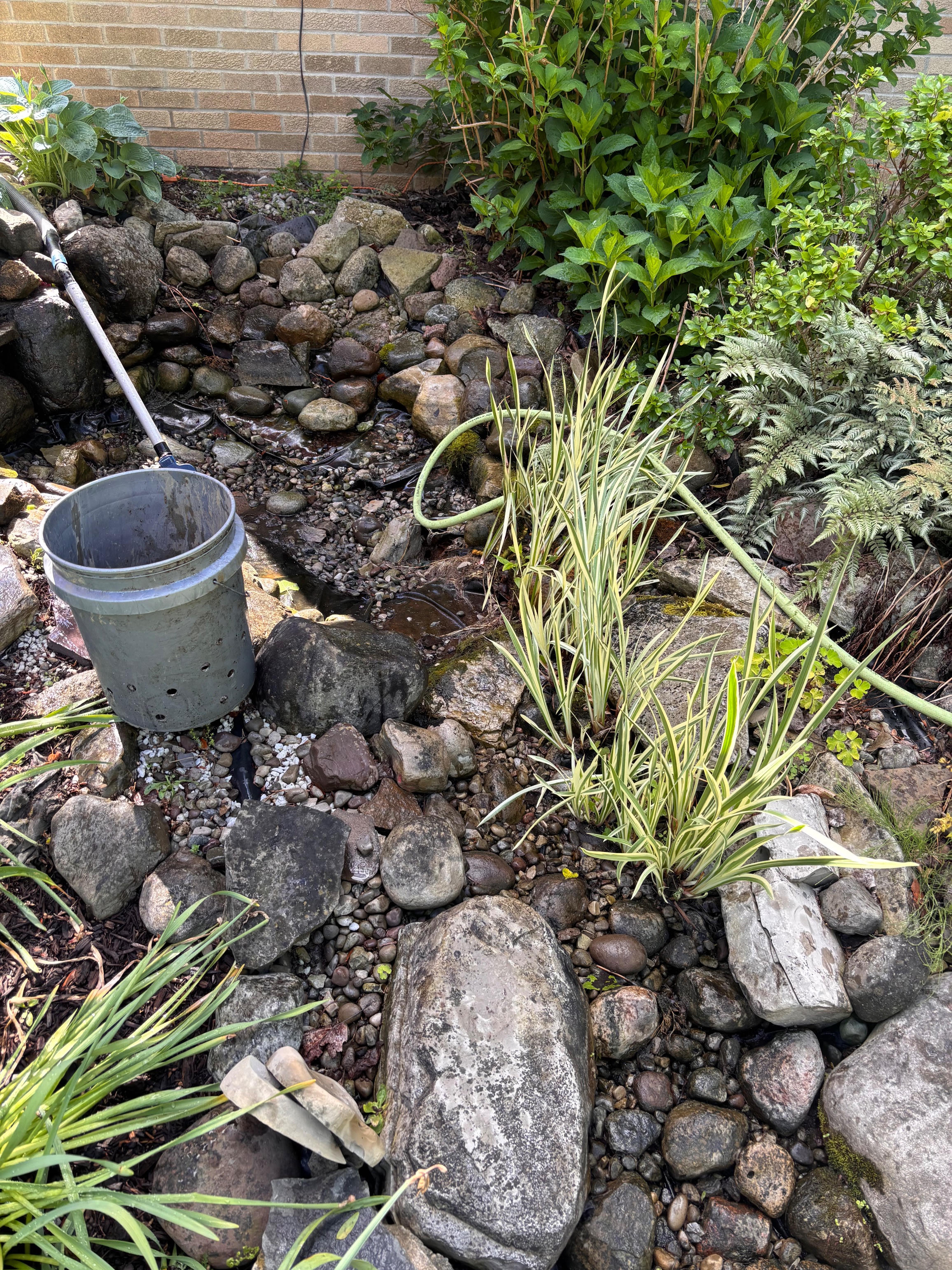 Drained stream and pond gravel during a cleanout, muck bucket at the ready